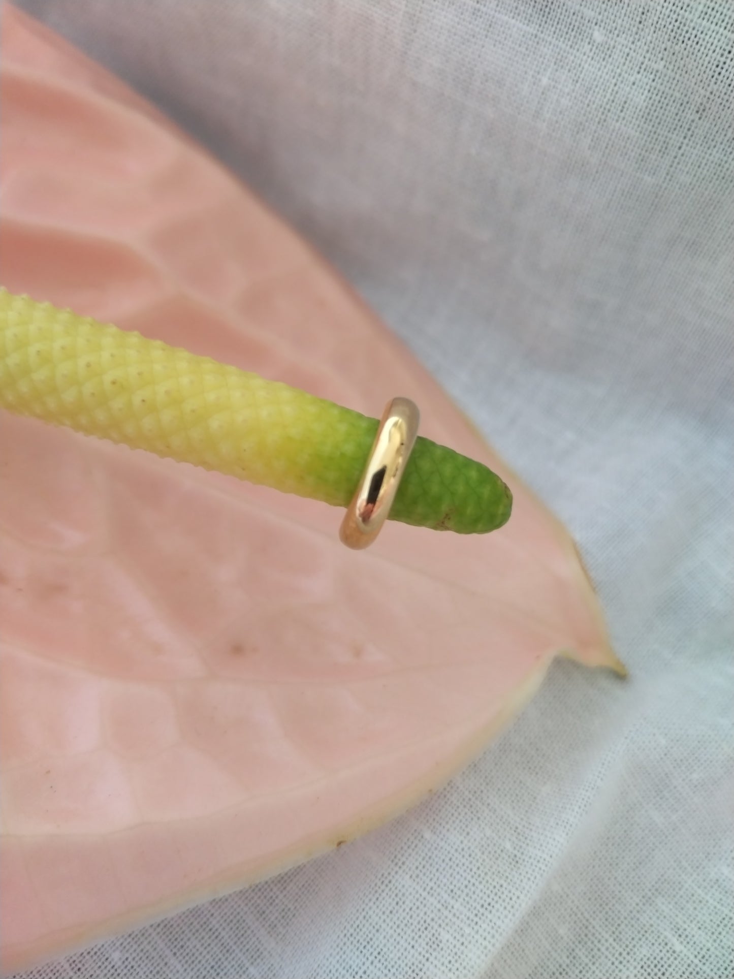 Balto Ear Cuff