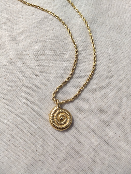 Shell Necklace