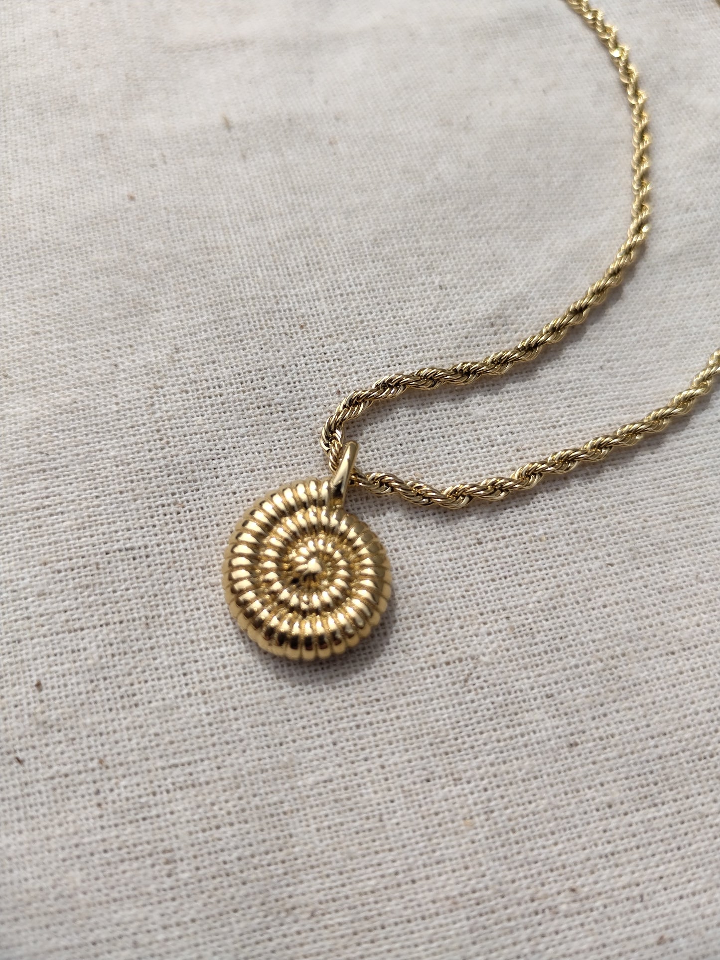Shell Necklace