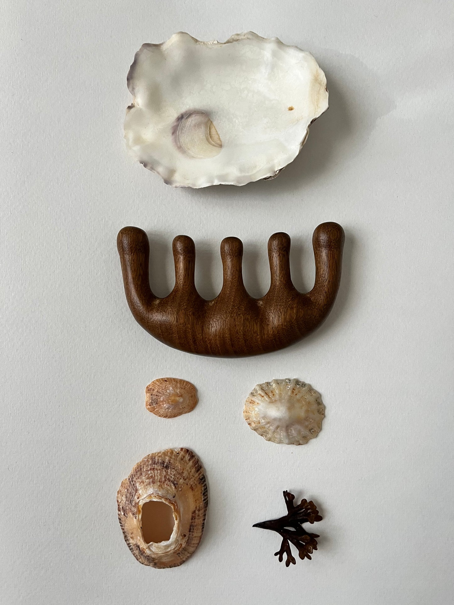 Sandalwood Comb