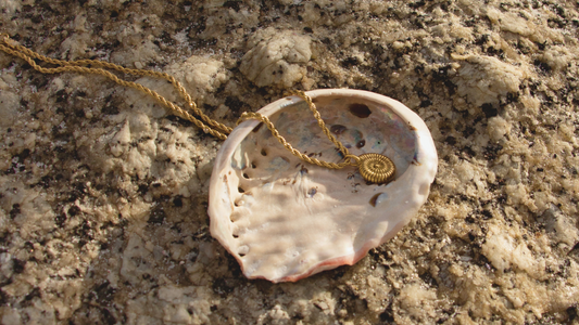Gold shell necklace in an abalone shell on a textured rock