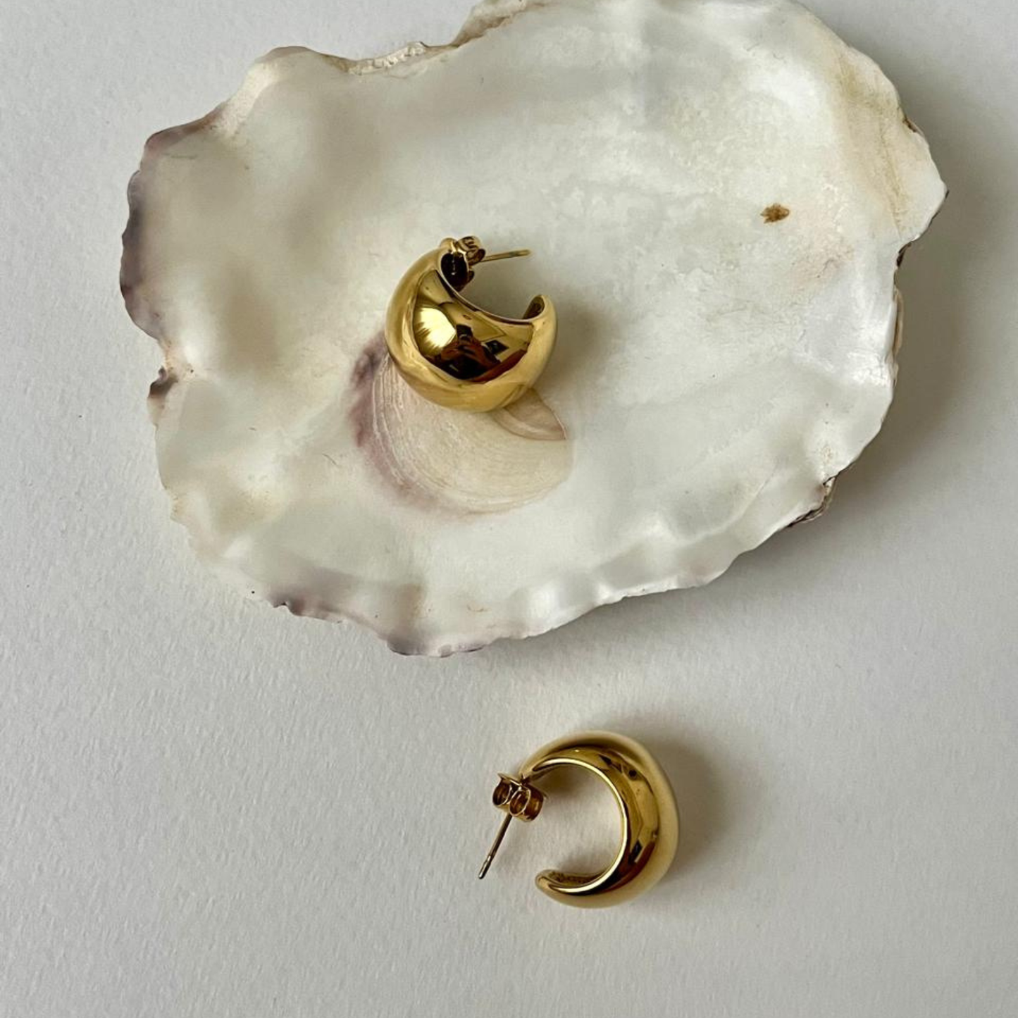 Aruna Earrings
