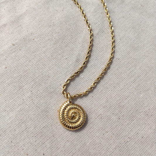 Shell Necklace