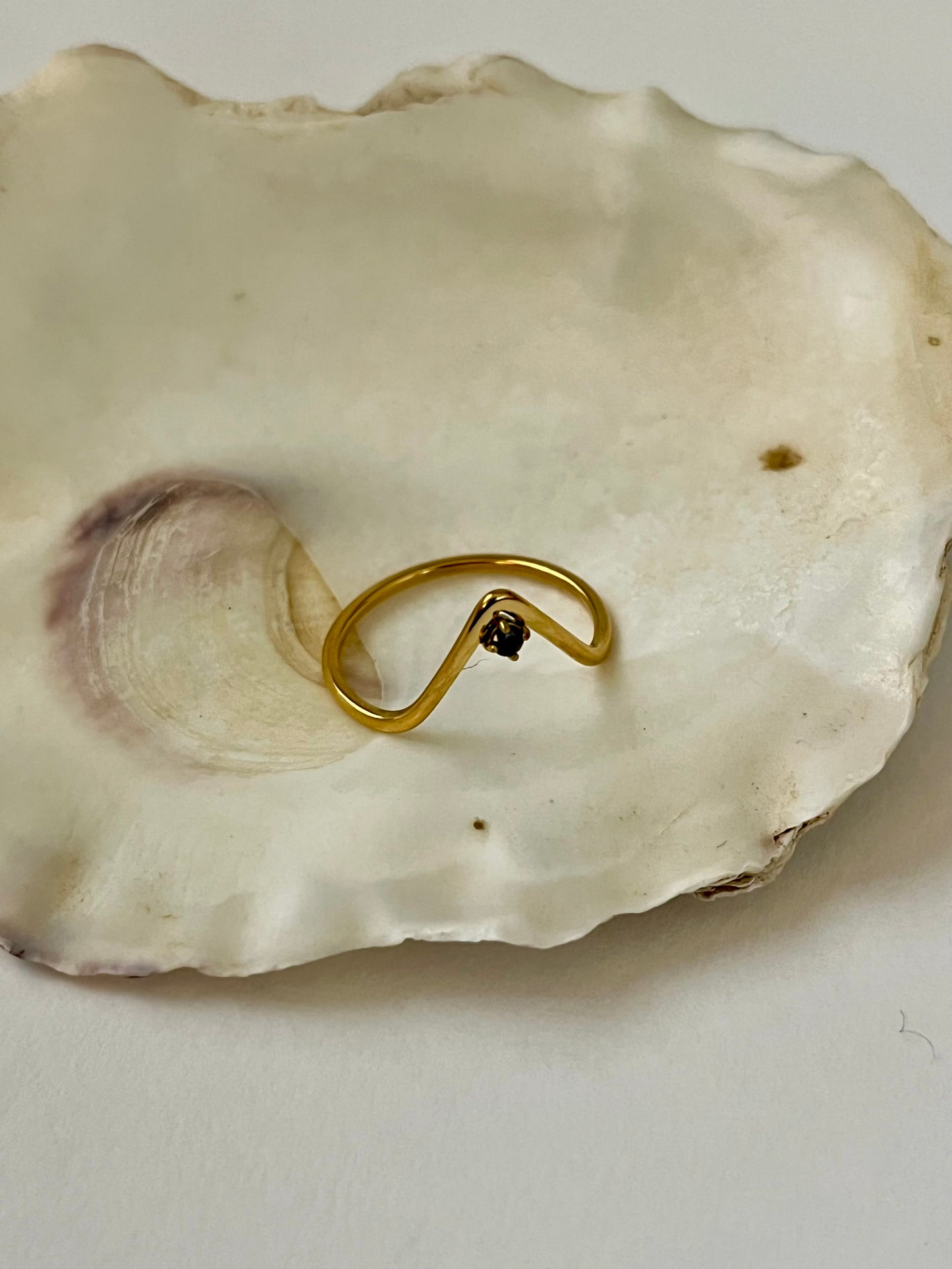 Orion Ring