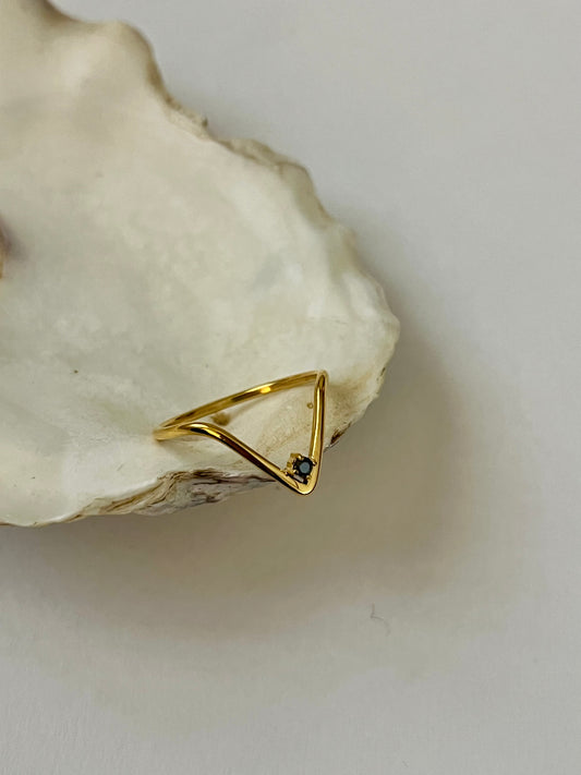 Orion Ring
