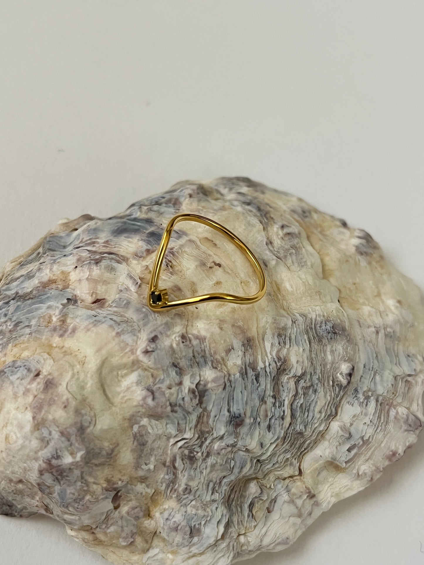 Orion Ring